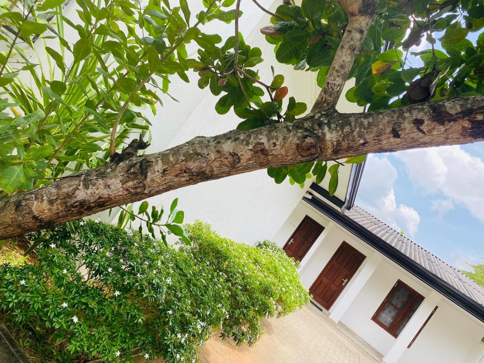 Premium Cottages B&B Kurunegala Exterior foto