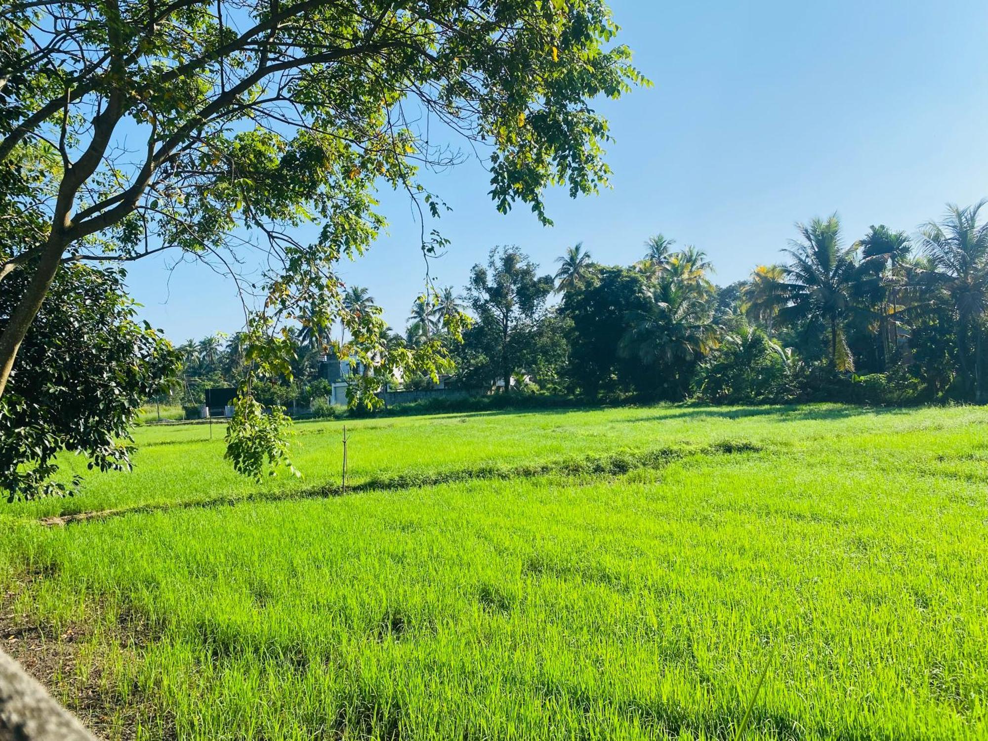 Premium Cottages B&B Kurunegala Exterior foto